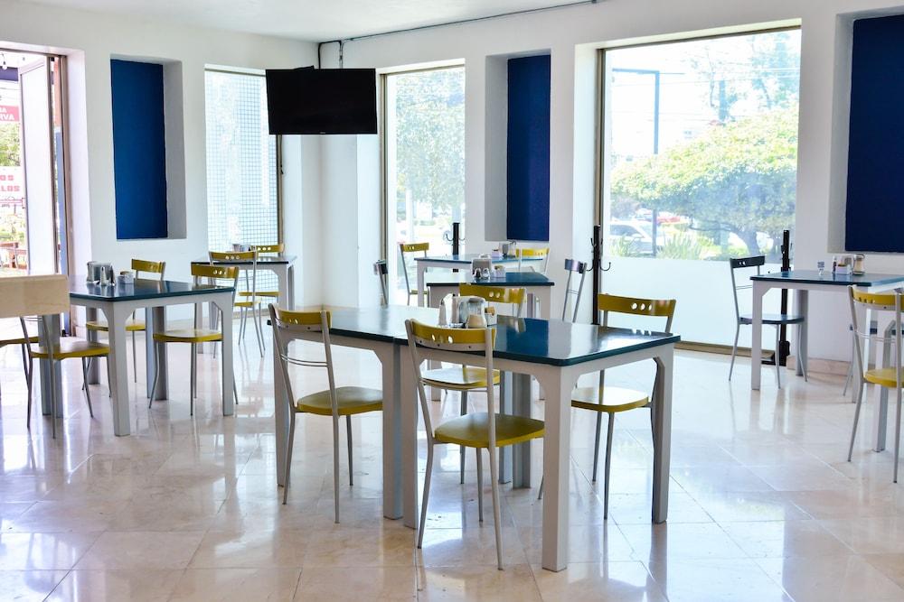 Hg Hotel Сапопан Экстерьер фото